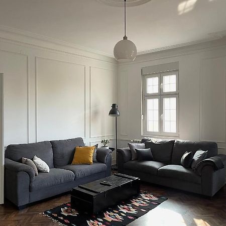 베오그라드 Apartman Alba 아파트 외부 사진