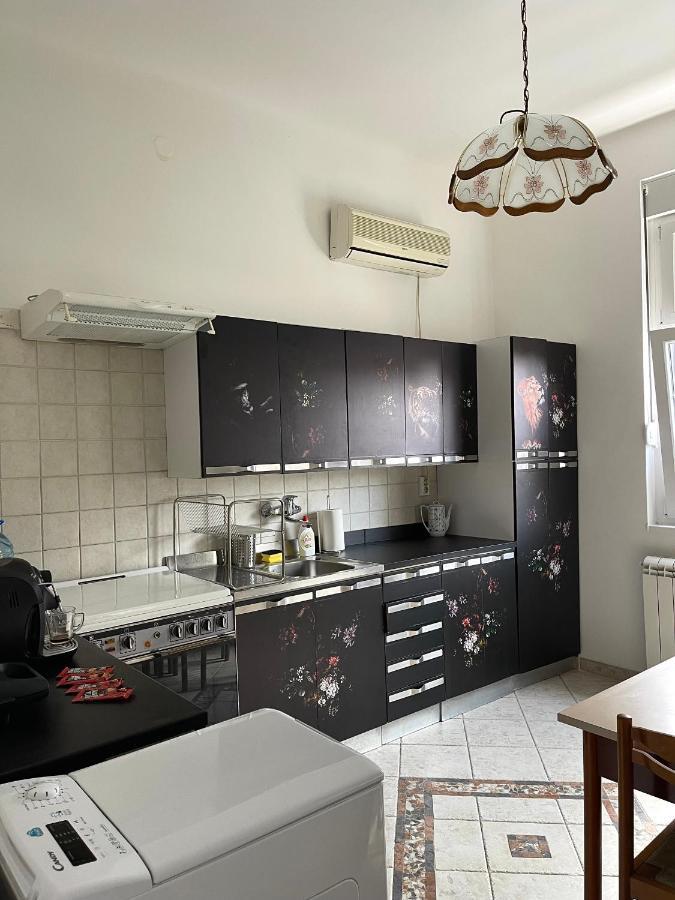 베오그라드 Apartman Alba 아파트 외부 사진