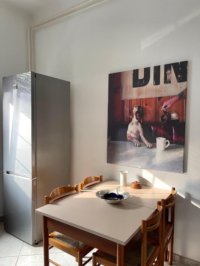 베오그라드 Apartman Alba 아파트 외부 사진
